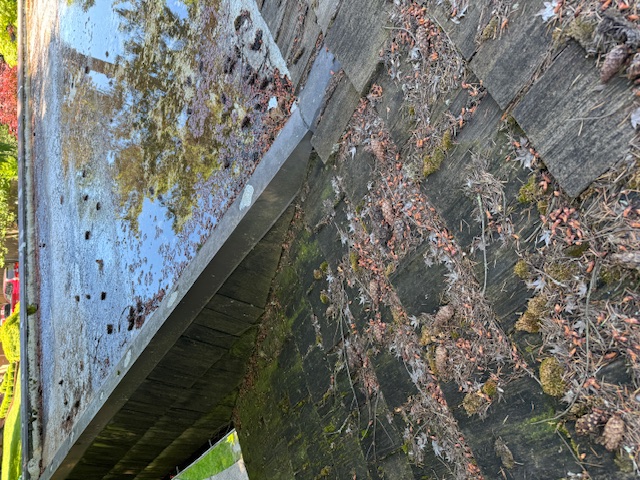 Before: aging flat roof with ponding water on Mercer Island