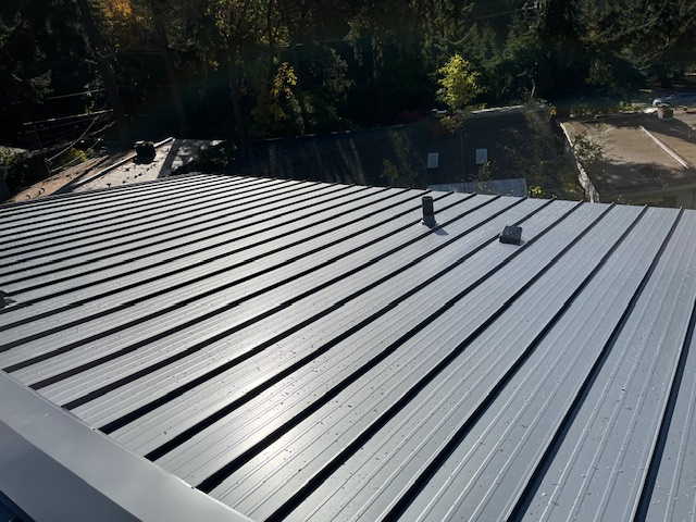 Taylor Metals standing-seam roof in Seattle