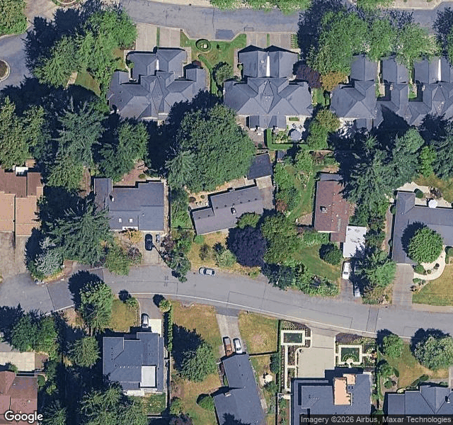 Jodi S. — Bellevue