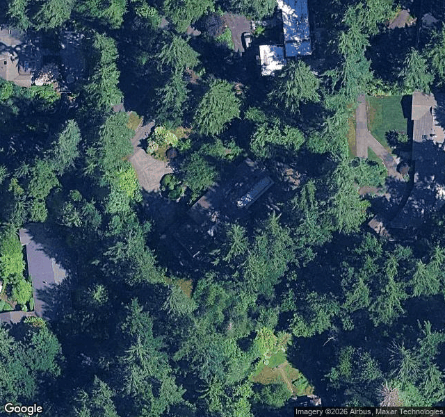 Toni V. — Bellevue