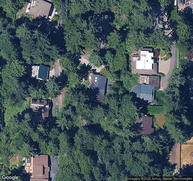 Shelley V. — Sammamish