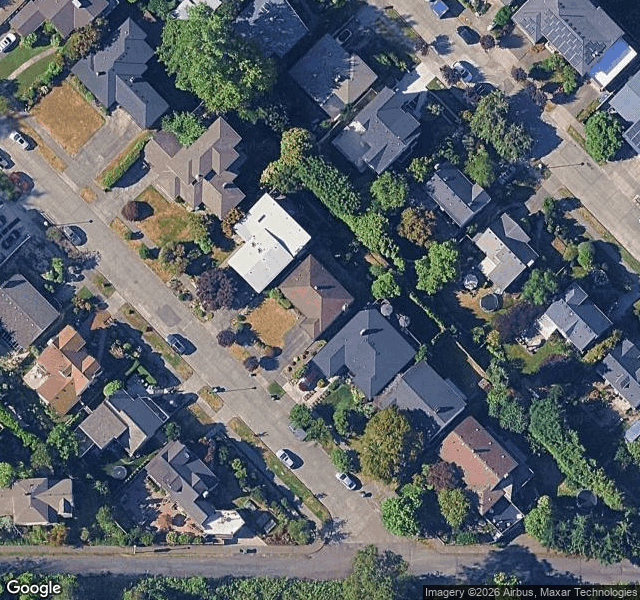 Amelia F. — Seattle