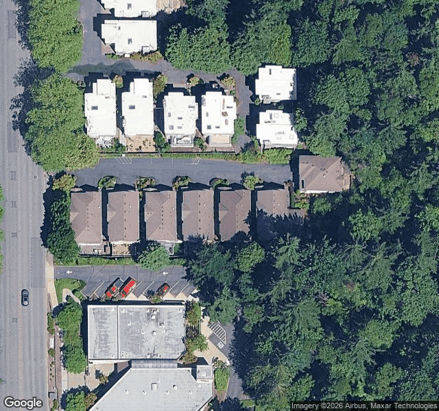 Patt S. — Bellevue