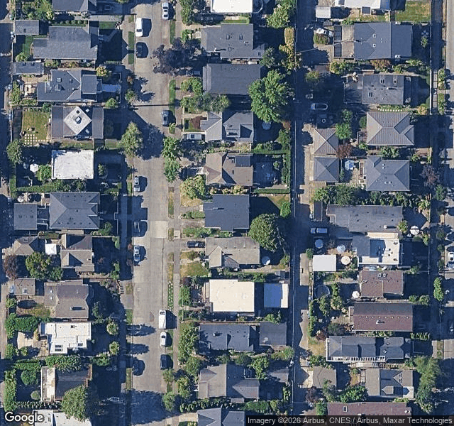 Nina P. — Seattle